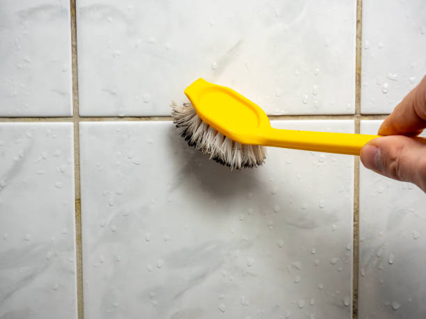  Atlanta, IL Mold Removal Pros