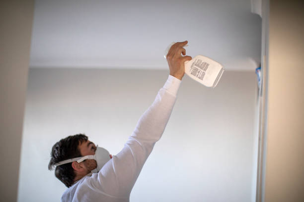 Best Professional Mold Removal  in Atlanta, IL
