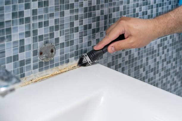 Best Home Mold Removal  in Atlanta, IL