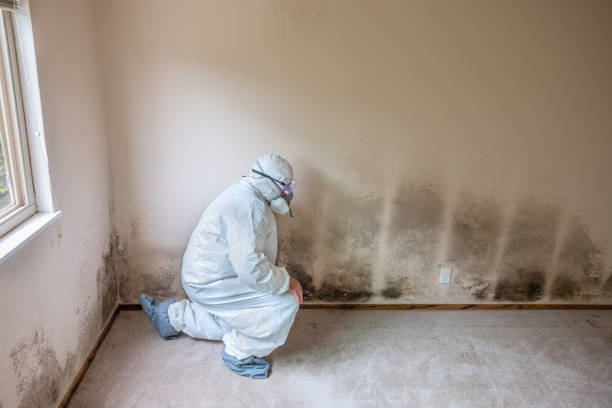 Water Damage Restoration in Atlanta, IL