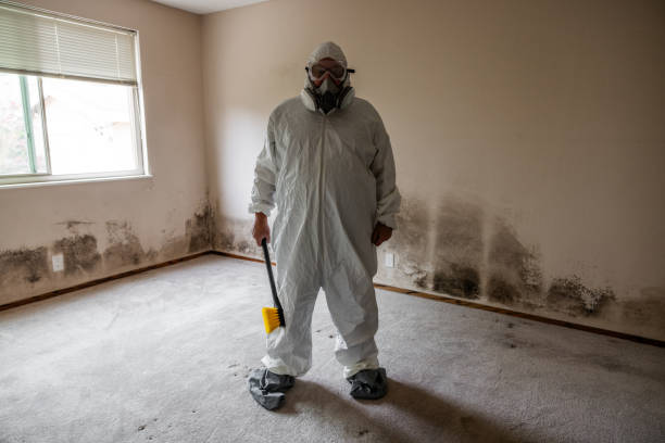 Best Crawl Space Mold Removal  in Atlanta, IL